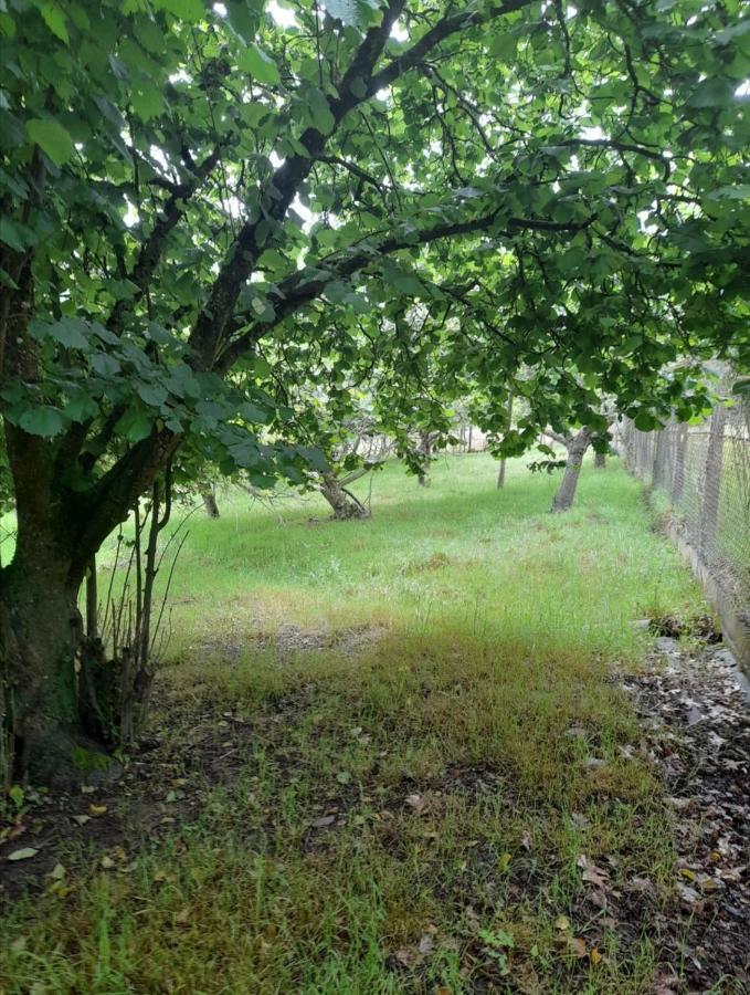 A Casa Dos Avos Villa Celanova Eksteriør bilde